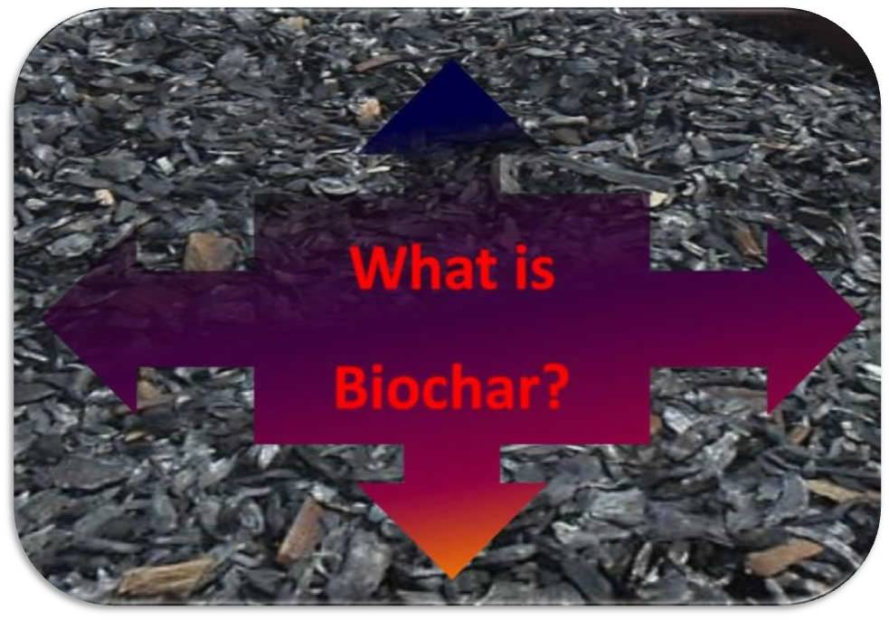 Biochar - what is it?